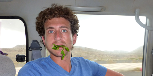 Me Chewing Qat in Yemen