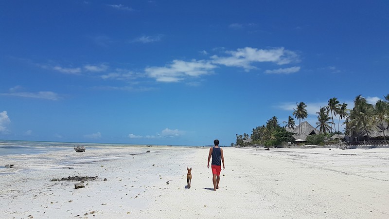 Trip to Zanzibar - Jambiani Beach