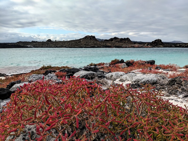 Galapagos Cruise - view from the island